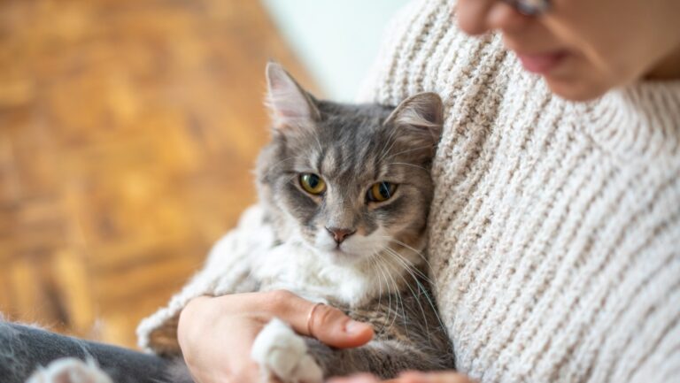 Goed voor jezelf zorgen, hoe doe je dat?