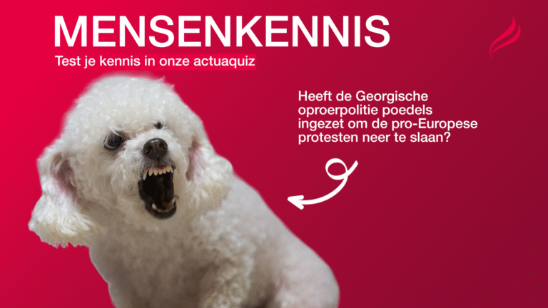 Heeft de Georgische oproerpolitie poedels ingezet om de pro-Europese protesten neer te slaan?