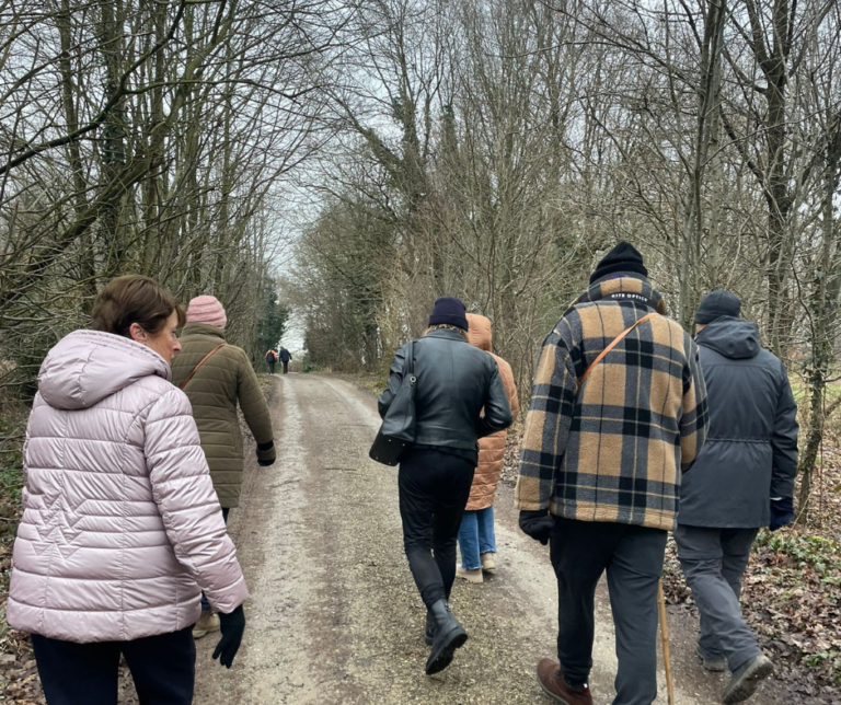 5 mensen maken een wandeling over een zandpad door het bos, met hoge bomen aan beide kanten.