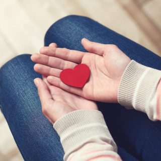 0851515d91c227b238f_symboliek-hart-in-handen-H6vYTw