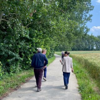 4 wandelaars lopen over een bestraat wandelpad. Links van het pad staan bomen en struiken, rechts is een weiland met hoog gras. De zon schijnt en de lucht is blauw.