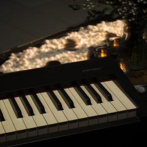 54195679343_3441da043a_b