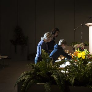 54195680738_193192ddba_b