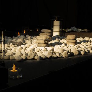 54195700439_3d59b0cd70_b