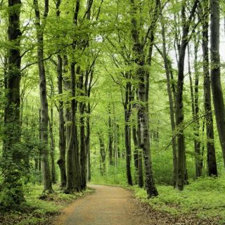 Foto_Verbindingswandeling