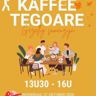 Kopie van Festival (1)