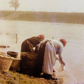 Mazenhoven