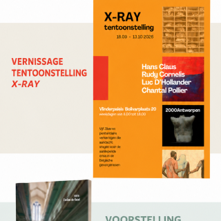 Vernissage X-ray