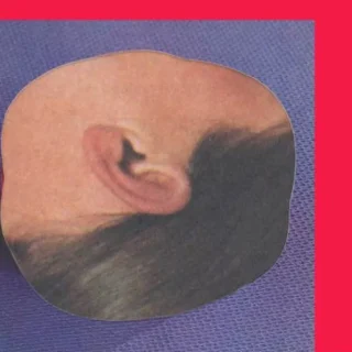 boekenklets-het-gore-lef-sarah-arnolds-boekenclub-jongeren-dwaalzin-brussel-e1768303222830-772x941-c-default