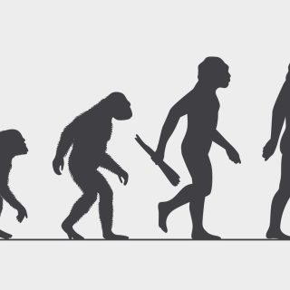 Evolution,Of,Man,-,Vector,Illustration,Of,Human,Evolving,From