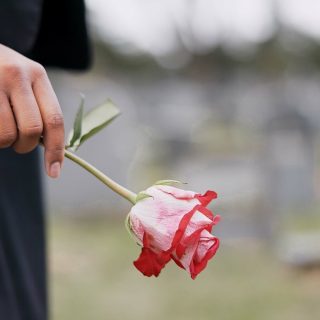 Funeral,,Cemetery,And,Hands,Of,Person,With,Rose,For,Remembrance,